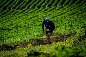 BIB: 
                            <button type="button" onclick="openModal(19160673)" class="btn btn-primary btn-sm float-right btn-popup" data-toggle="modal" data-target=".modal-high-quality">
                        <i class="fas fa-shopping-cart"></i> Add to Cart
                    </button>
                                            <button type="button" onclick="isThisMe(19160673, true)" class="btn btn-success btn-sm float-right btn-popup btn-isme hidden" data-toggle="tooltip" data-placement="bottom" title="นี่คือรูปของคุณใช่ไหม คลิกที่นี่เพื่อเอาเข้าอัลบั้ม">
                        <i class="fas fa-plus"></i> Add to album
                    </button>
                    <button type="button" onclick="isThisMe(19160673, false)" class="btn btn-warning btn-sm float-right btn-popup btn-isnotme hidden">
                        <i class="fas fa-ban"></i> Remove from album
                    </button>